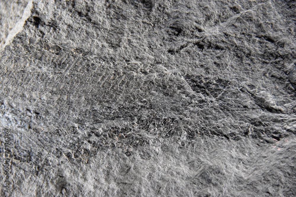 Stein, Granit, Grau, Rau, Sand, Robust, schatten, Textur, Hintergrund, Fisch, versteinert Stein, Granit, Grau, Rau, Sand, Robust, schatten, Textur, Hintergrund, Fisch, versteinert