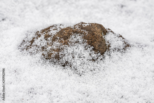 Stein im Schnee © blende11.photo