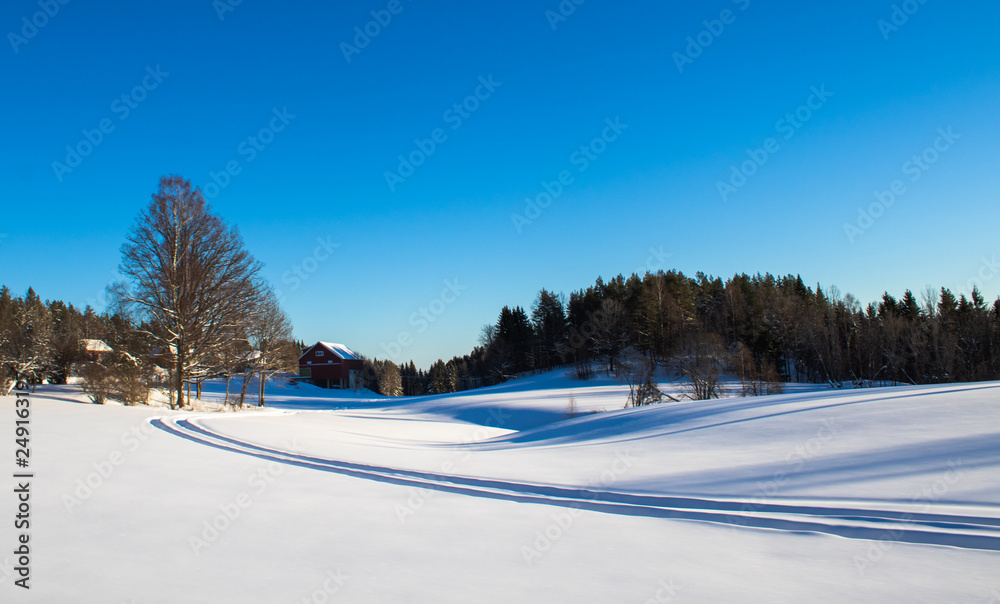 Ski tracks through snow-covered farmstead