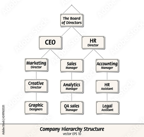 Company hierarchy structure. Vector illustrated with signs.