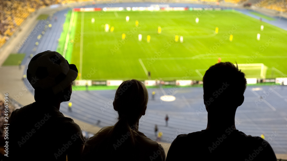 Friends supporting soccer team, watching football match at stadium, sports