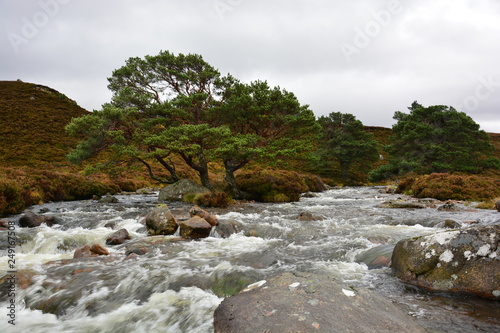 Reisender Wildbach im Caingorms Nationalpark bei Aviemore in Schottland Schottland photo