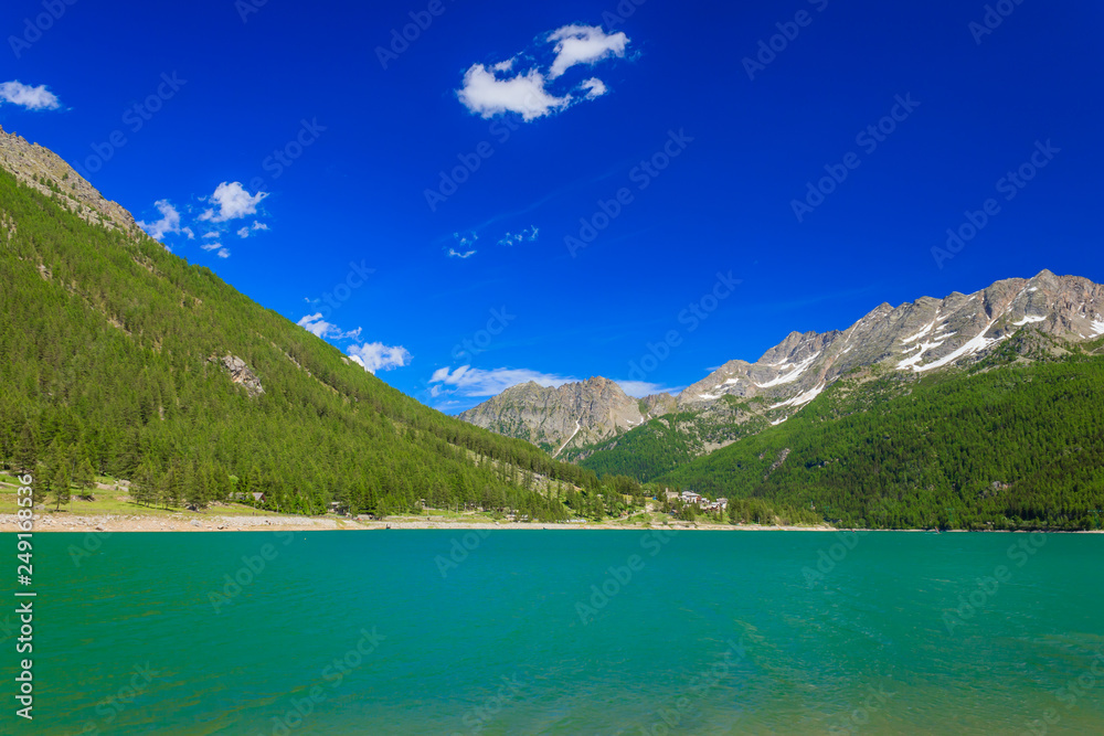 a suggestive green mountain lake along a slope covered with pine trees in the National Park of Great Paradise,in Piedmont,Italy / the green color of the pines on the mountains reflects on the lake