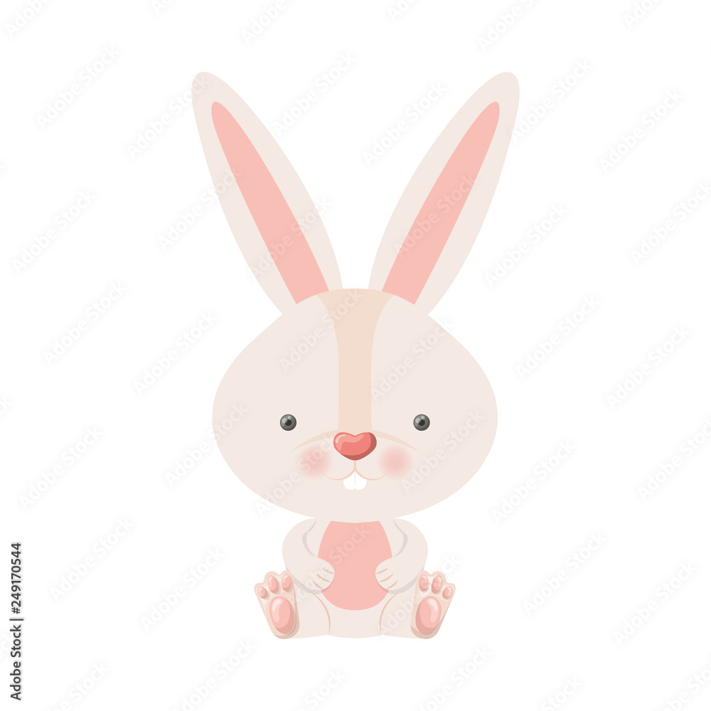cute rabbit isolated icon cute rabbit isolated icon