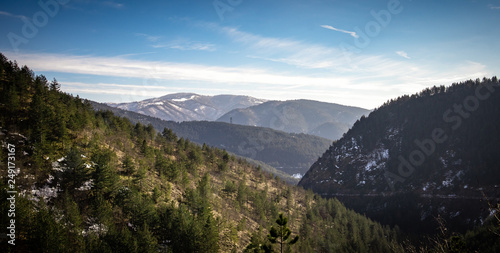 Mountain in winter with a little snow. Tara mountain in Serbia.