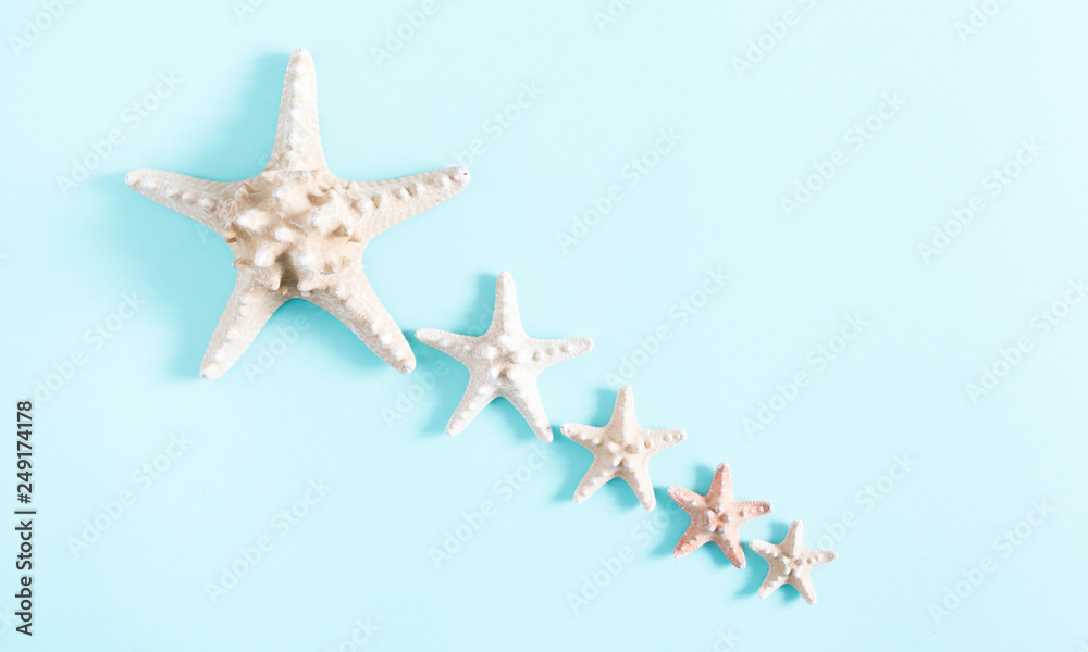 Summer minimal composition. Creative layout made of starfish on pastel blue background. Summer creative concept. Flat lay, top view, copy space Summer minimal composition. Creative layout made of starfish on pastel blue background. Summer creative concept. Flat lay, top view, copy space