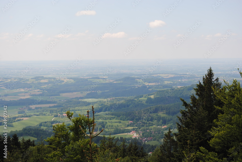 Naklejka premium Nature