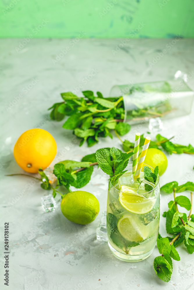 Fototapeta premium Mojito cocktail with lime and mint in highball glass