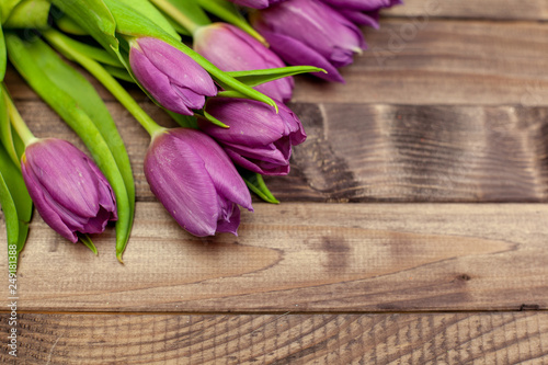 Fototapeta Naklejka Na Ścianę i Meble -  Purple tulips on dark wooden background gift for March 8