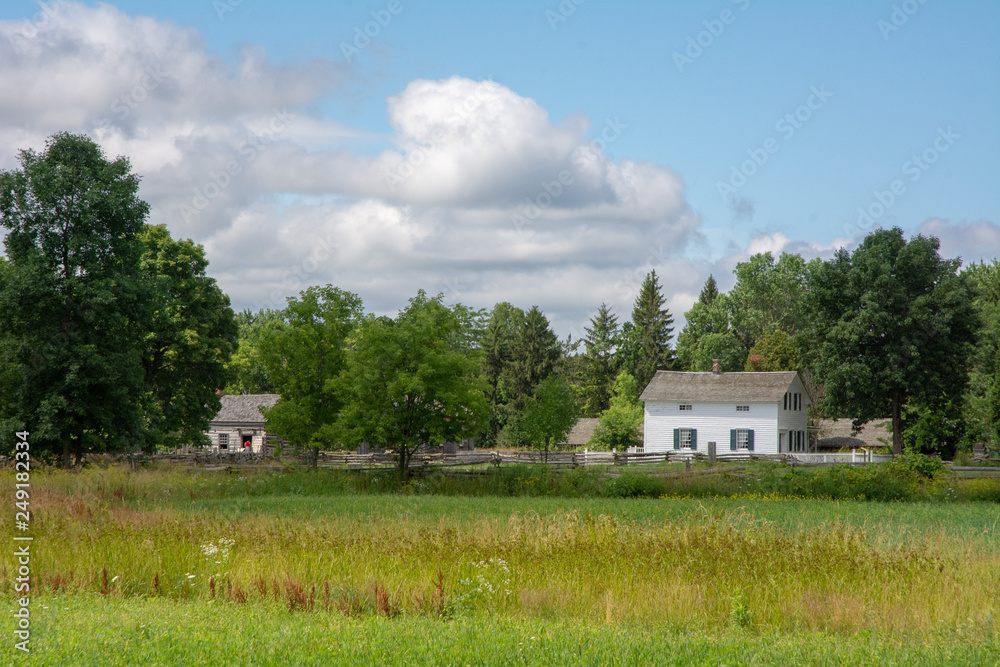 Obraz premium Fields of Peace