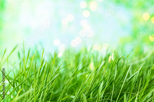 background of green summer grass with dew and bokeh