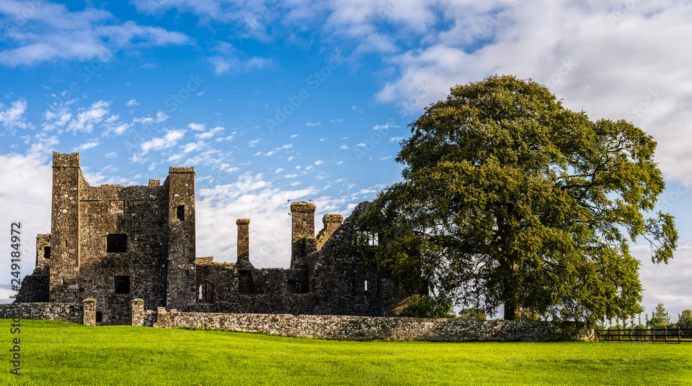 Ruins of old abbey and 3 birds landing on tower with large green tree on side and grass in foreground – front view