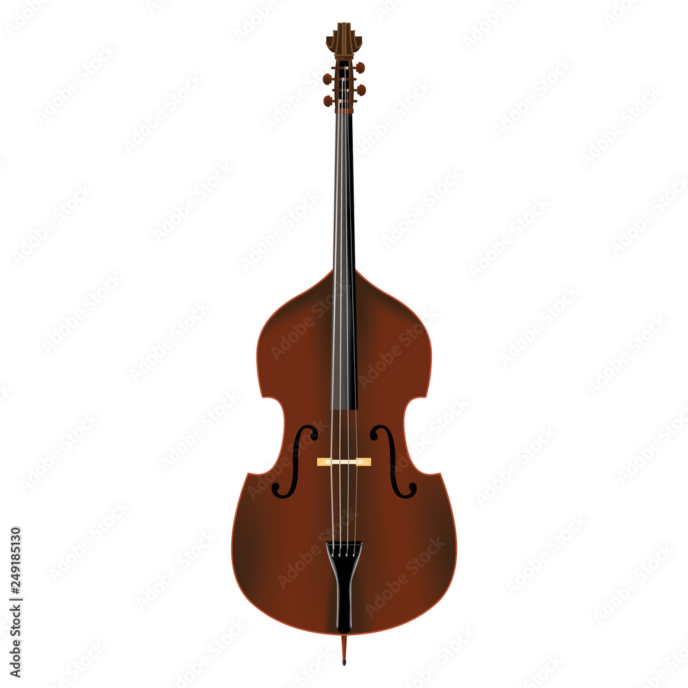 Fototapeta premium double bass