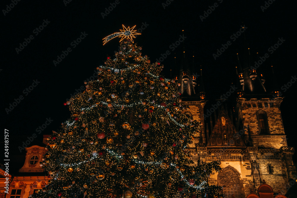 christmas tree in Prague