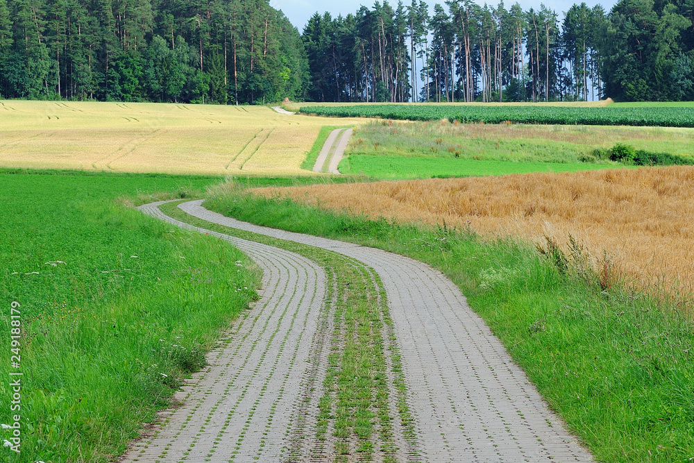 stone winding road going into the distance