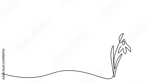 Flower outline drawing, vector illustration.