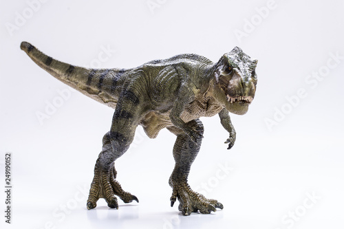 Model of Tyrannosaurus rex © Alessandro Grandini