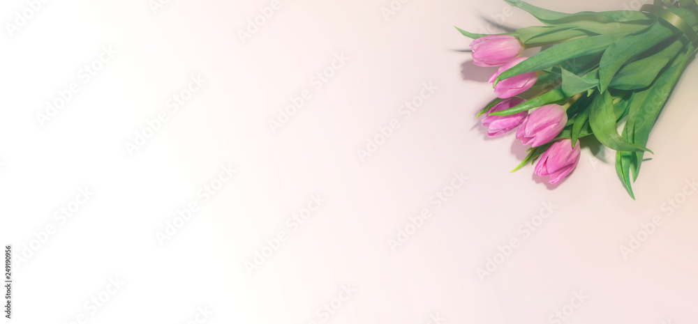 Fototapeta premium Beautiful bouquet of tulips. Spring flowers for Mother's Day, International Women's Day, birthday. Top view with space for your greetings