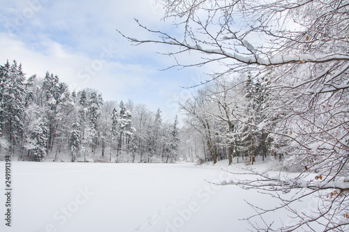 Fototapeta Naklejka Na Ścianę i Meble -  piękny zimowy krajobraz, jezioro