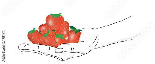 the sketch of the hand with a handful of red strawberries