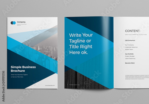 Brochure Layout with Blue Geometric Elements Stock Template | Adobe Stock