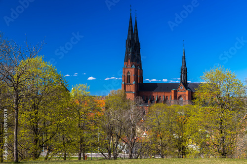  Cathedral (Domkyrkan) surrounded by the first spring foliage