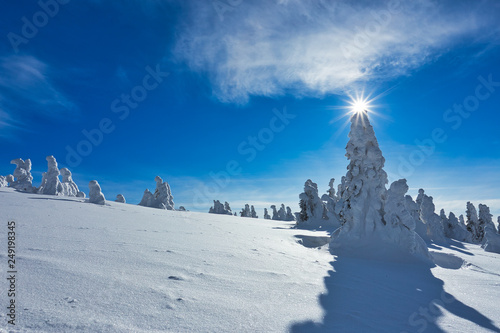 Majestic Winter Landscape Glowing by Sunlight, Dramatic Wintry Scene Location