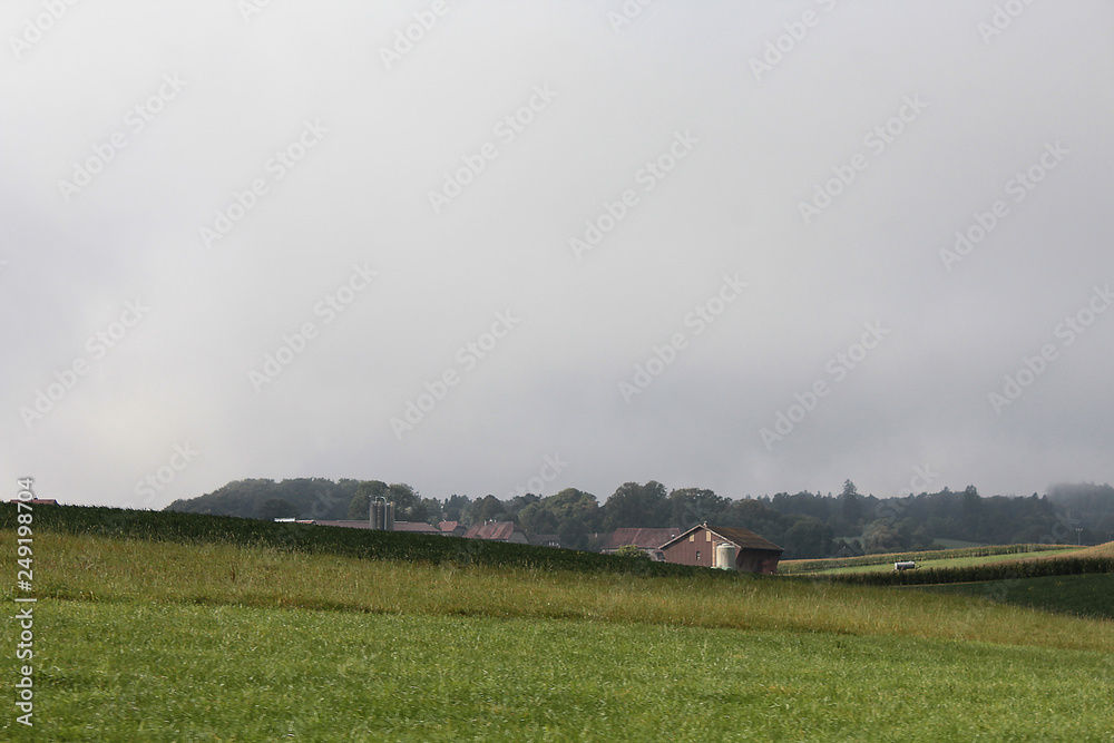 Fototapeta premium Rural Landscape
