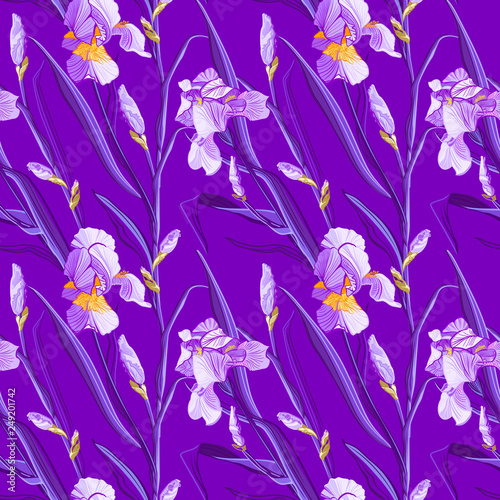Fototapeta Naklejka Na Ścianę i Meble -  Floral pattern with iris flowers. Seamless pattern with colorful iris flowers.