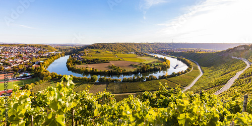 Germany, Baden-Wuerttemberg, Mundelsheim, Neckar river loop and vine yards