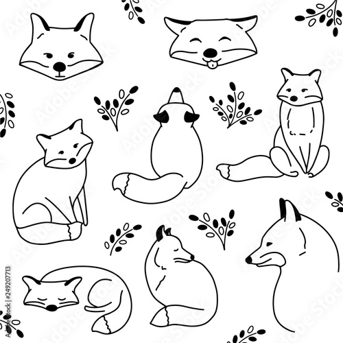 Vector hand drawn cute animal set. Sketch illustration with sitting, funny and sleeping foxes. Collection of doodle cartoon animals with elements.