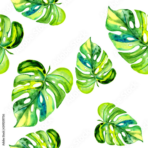 Tropical Hawaii leaves a palm tree in watercolor style. Basis for design