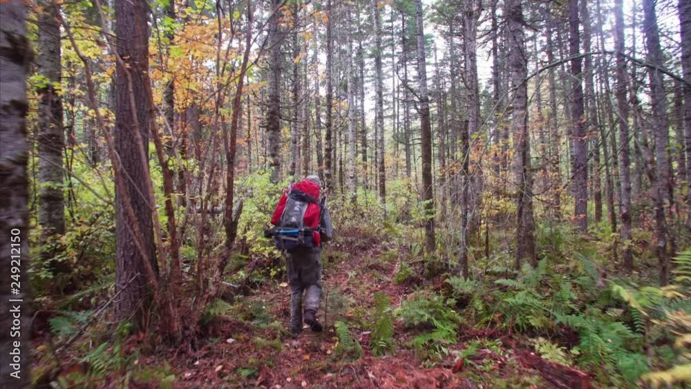 Tourist walks along path through the Sikhote-Alin Nature Reserve forest. Russia Tourist walks along path through the Sikhote-Alin Nature Reserve forest. Russia