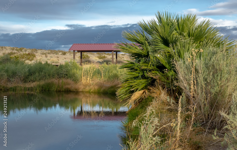 Rodgers Spring - Lake Mead National Recreation Area