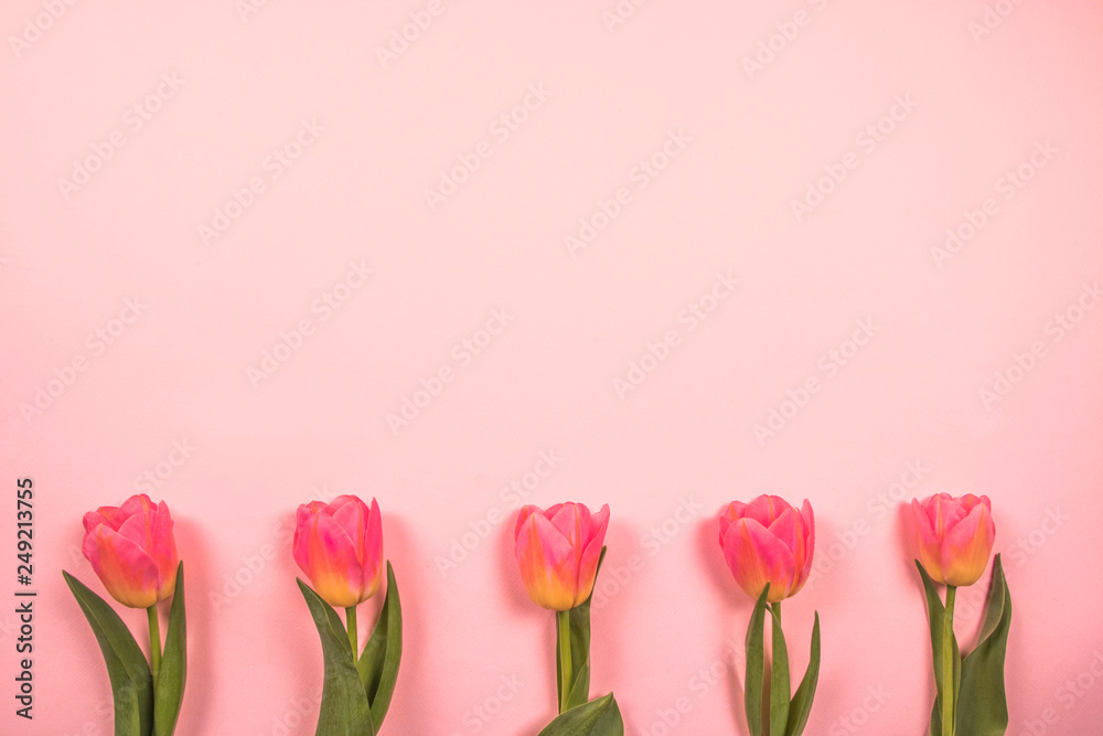 Love, event. Sweet,Valentine's Day concept. Frame Love, event. Sweet,Valentine's Day concept. Frame