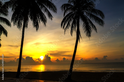 Sunrise and two coconut beautiful on beach