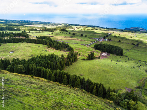 Green fields of San Miguel island, Azores - Portugal.