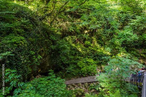 Enter to the Prometheus   Kumistavi  Cave in the Imereti region  Georgia