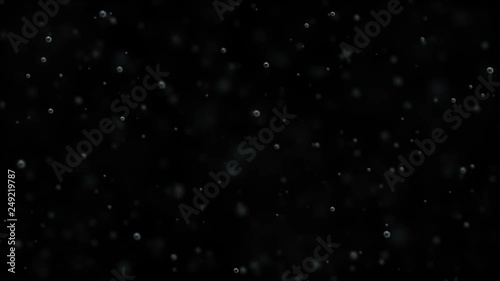 Bubbles of champagne rise up on a black background.