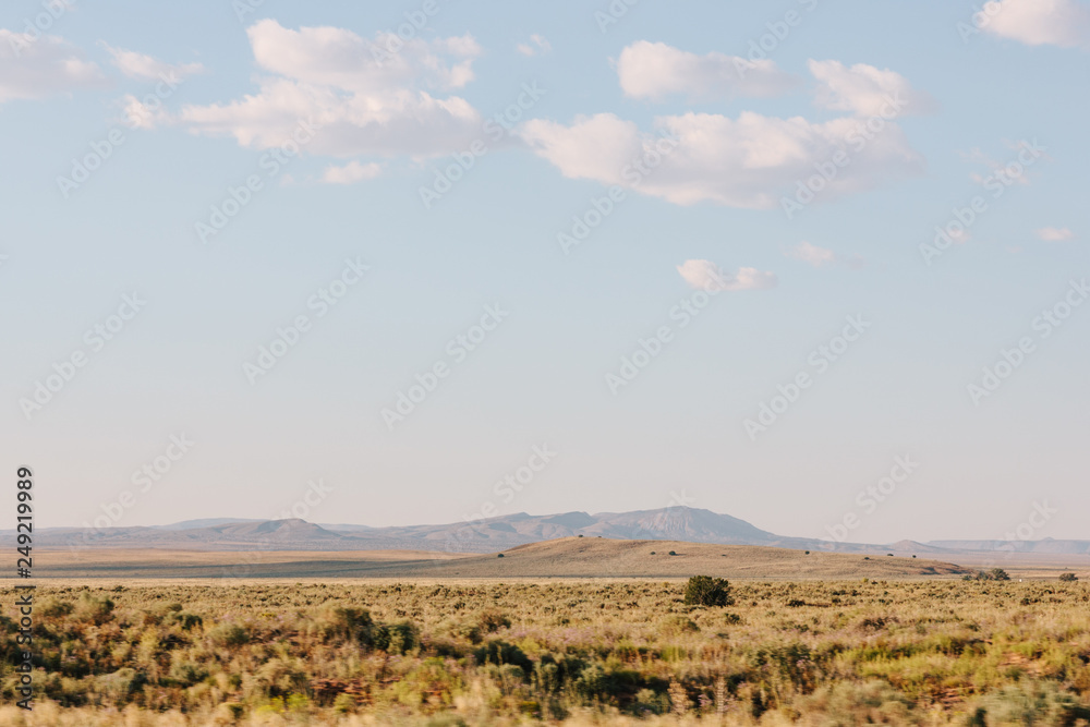 New Mexico desert landscape
