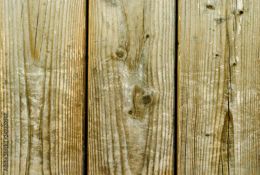 Naklejka premium Tree, fence, vertical