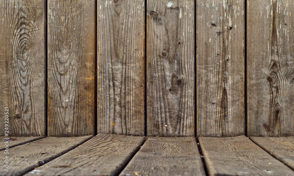 Fototapeta premium Tree, fence, vertical