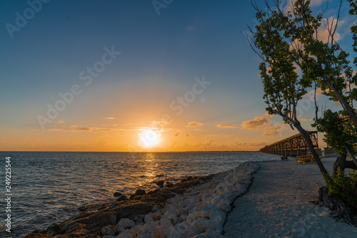 Florida Keys Landscape