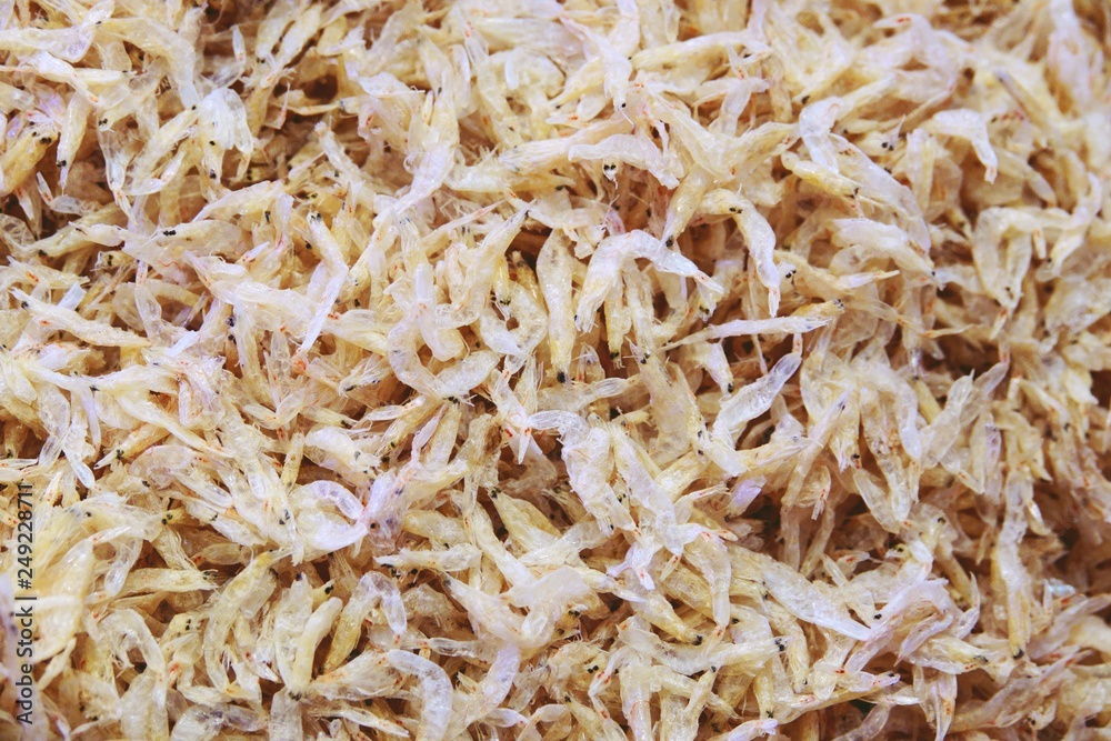 Pile of dried small white shrimp close up Pile of dried small white shrimp close up