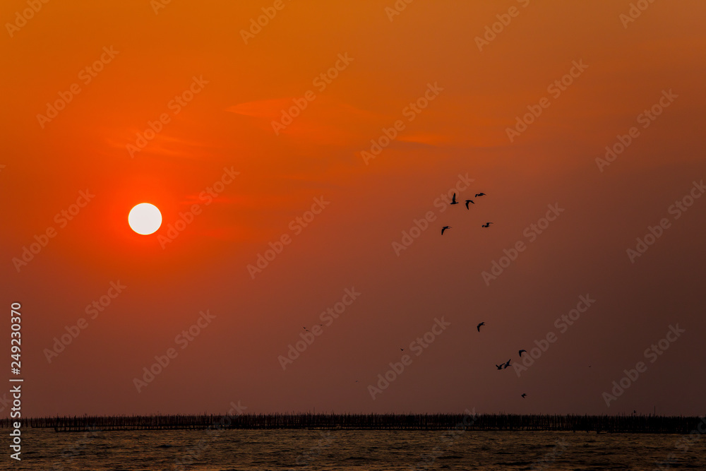 Beach, Sunset, Sun, Marbella, Sea Beach, Sunset, Sun, Marbella, Sea