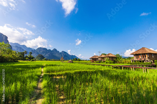 Landscape of rice field in Vang-vieng, Laos PDR.