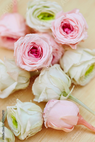 roses on a wooden background © mnimage