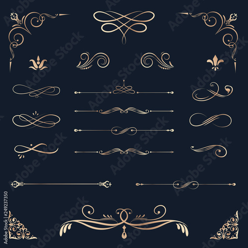 Vintage ornamental design elements