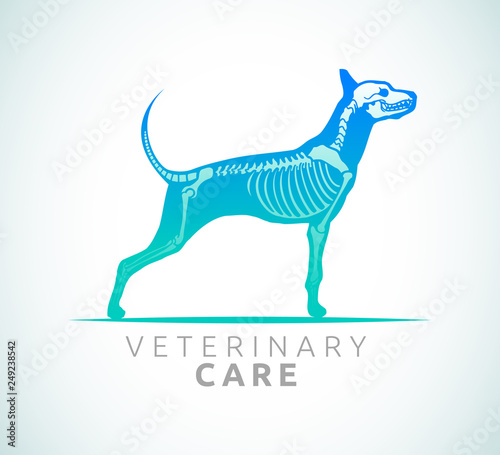 Veterinary Care Emblem Design  Bone Scan Dog Care vector illustration