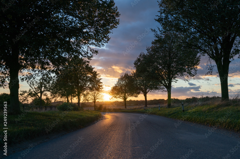 Countryside Road at Sunset